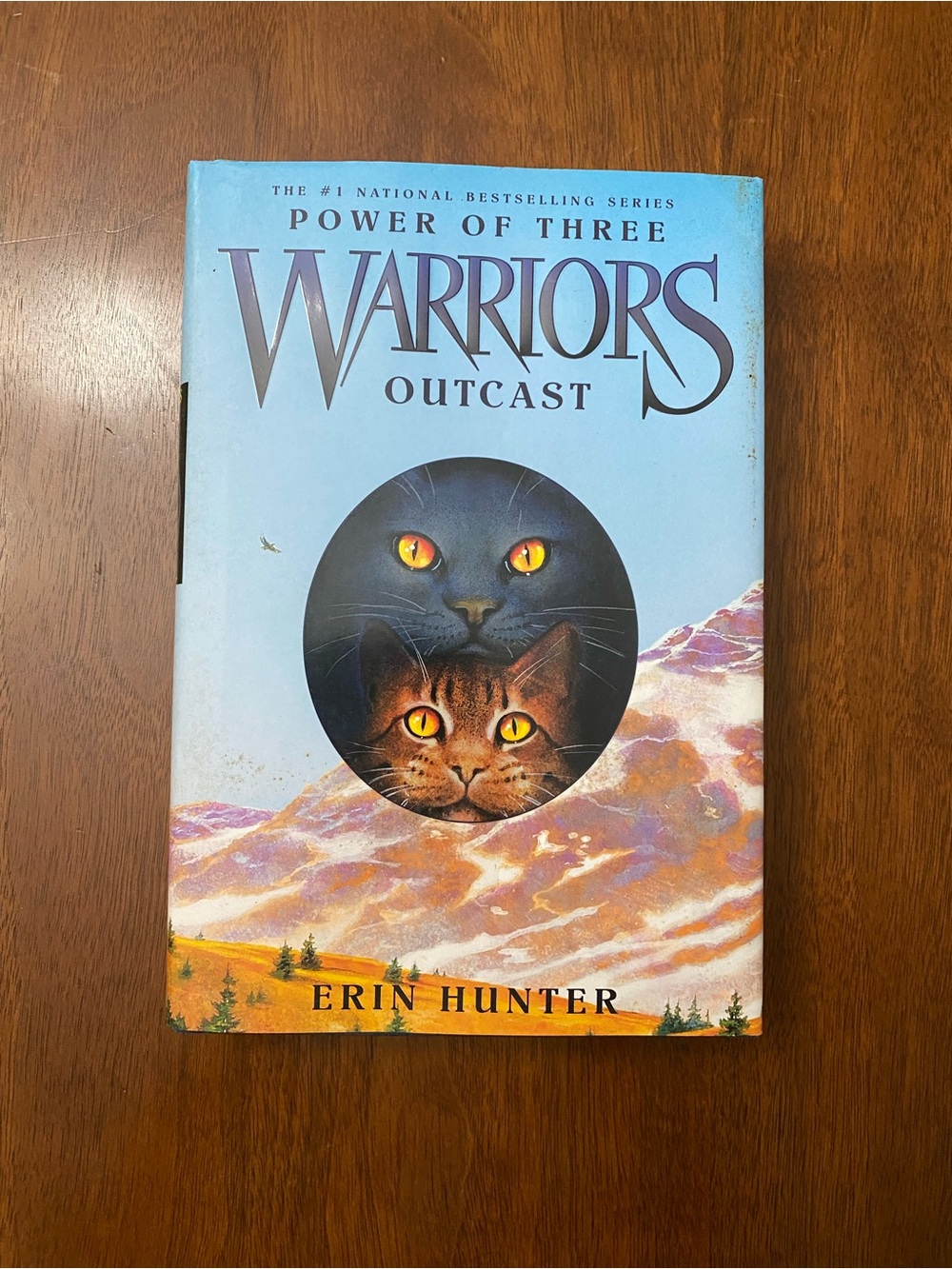 Warrior Cats Power of Three Hardcover
